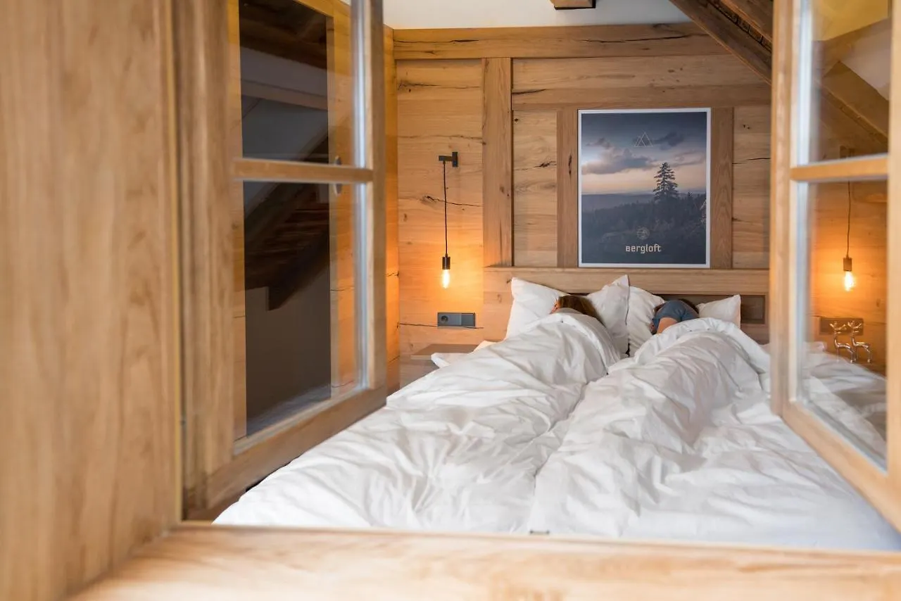 Apartment Chalet-Ferienwohnung Bergloft, 115 Qm, Wellness/Fitness/Sauna - Bergroedelhof Feilitzsch Germany